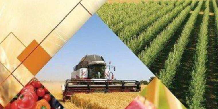 Президент тапсырмасының орындалуы: Ауыл шаруашылығы инновациялық технологияларға негізделеді