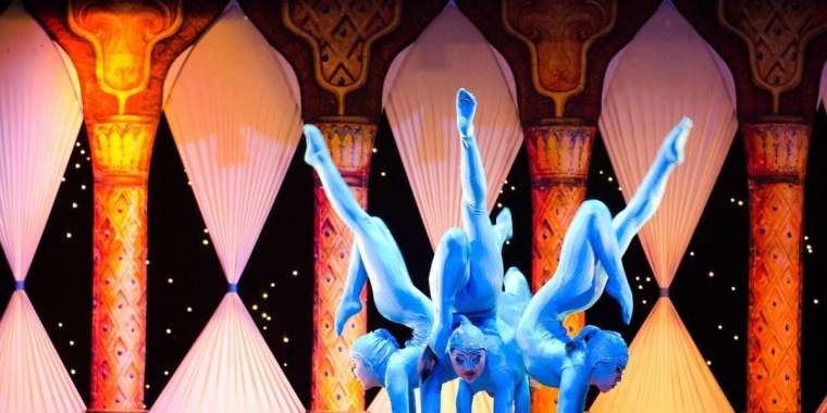 Астанадағы циркте гимнаст қыз биіктен құлады