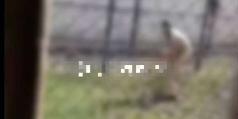 БҚО-да сотталған адамды түрмеде жалаңаш жұмыс істеткен