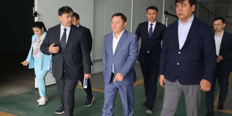 Премьер-министрдің кеңесшісі Түркістан облысының өңірлік инвестициялық жобалармен танысты