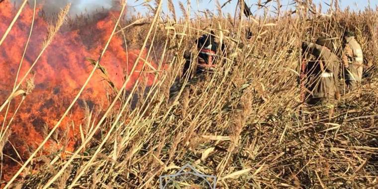 Атырау облысында қамыс өртеніп жатыр