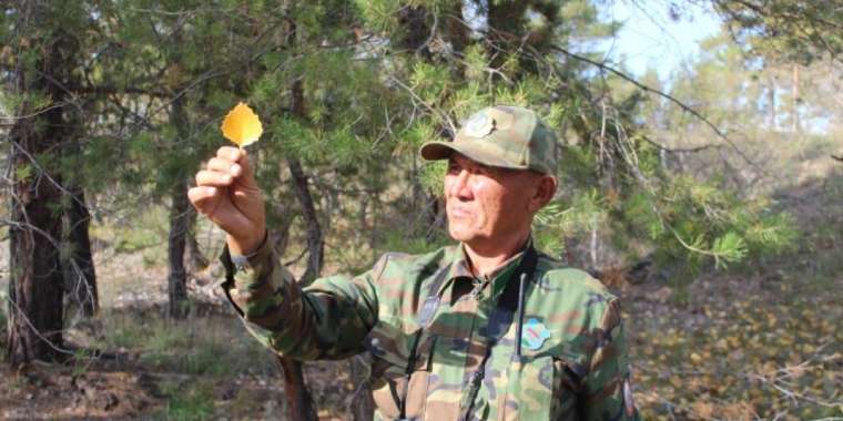 Орманшылардың жалақысы көбейетін болды