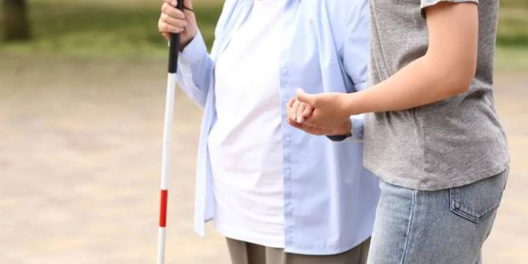 Көзі көрмейтін енесінің атына кредит рәсімдеген жігітке үкім шықты