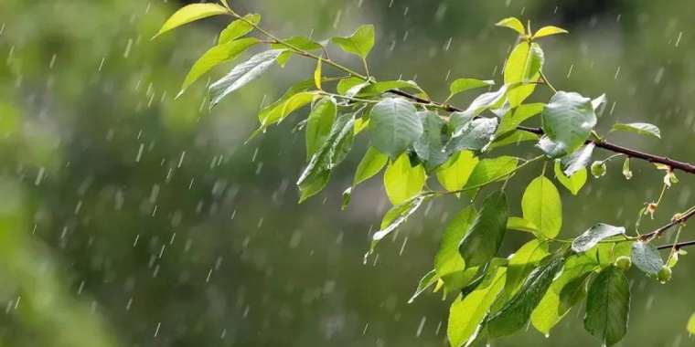 "Жаңбыр, бұршақ, аптап ыстық". 26 маусымға арналған ауа райы болжамы