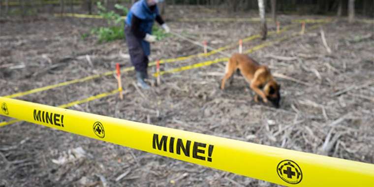 Польша миналарды қолдануға тыйым салатын конвенциядан бас тартпақ