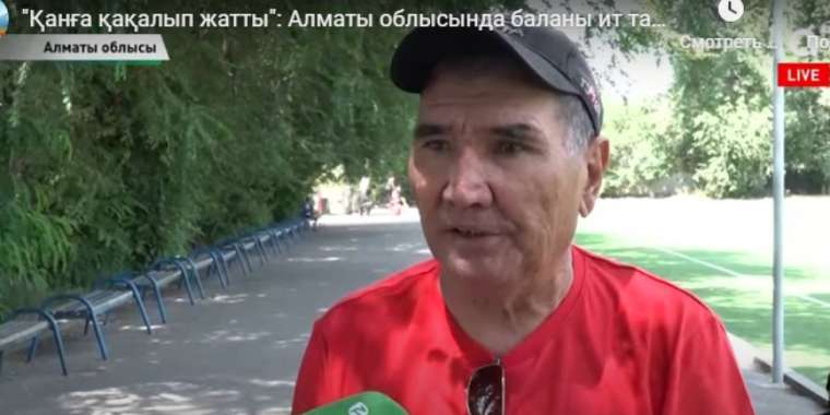 Ит талаған бала. Қымбат иттердің иесі құтқарған адамнан ақша талап етті