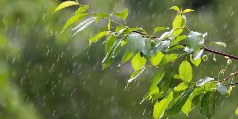 3 шілдеге арналған ауа райы болжамы жарияланды