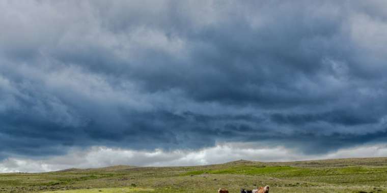 6 шілдеде Қазақстанның басым бөлігінде жаңбыр мен аптап күтіледі