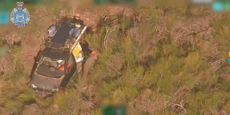 Орманда жоғалып кеткен неміс қызы тірі табылды