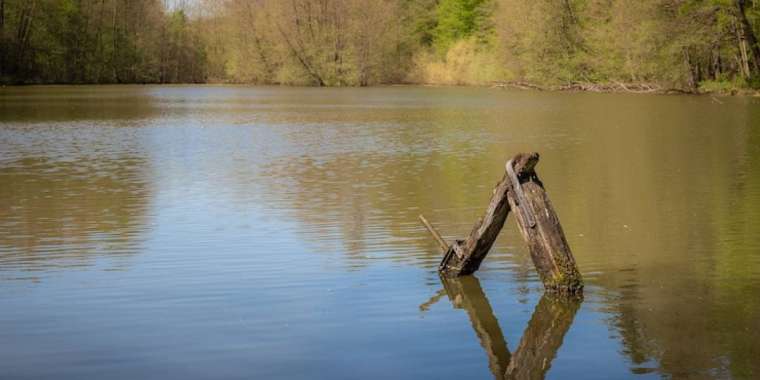 Қостанай облысында ішінде үш адам болған көлік суға батып кетті
