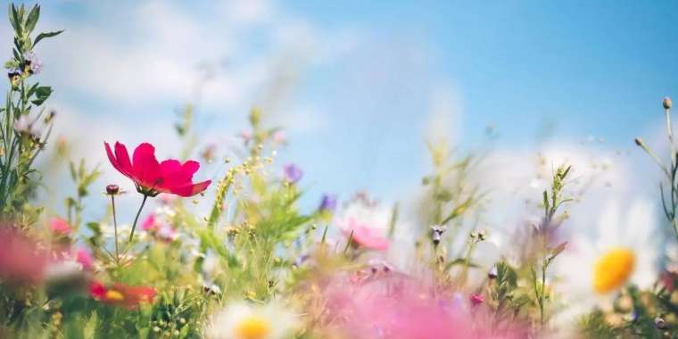 Қазақстанда +42 градусқа дейін ыстық болады