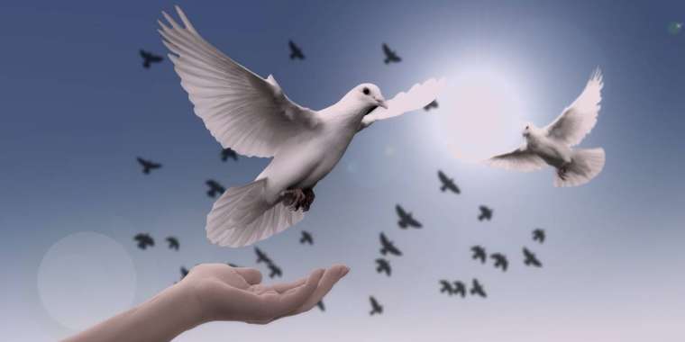 Имандылық пен ұлттық тәрбие: екі қанатты руханият