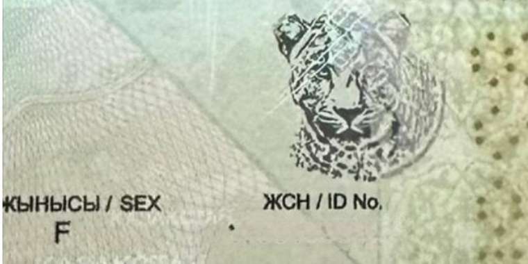 Қазақстан паспортына жаңа элемент қосылды