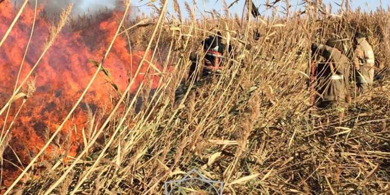 Өрт қаупі бар. 12 тамызға арналған ауа райы болжамы