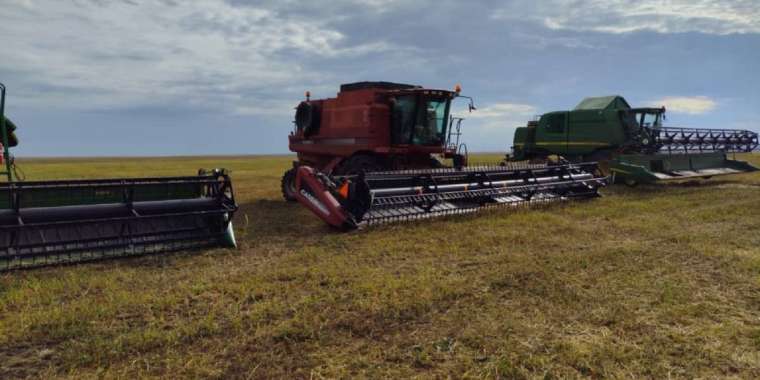 Жолдау-2024: Үкіметтің ағымдық есебіне үңілсек