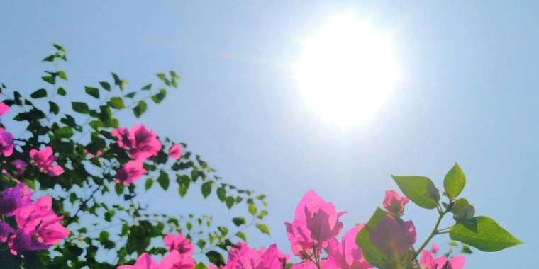 28 тамызда ауа райы қандай болады