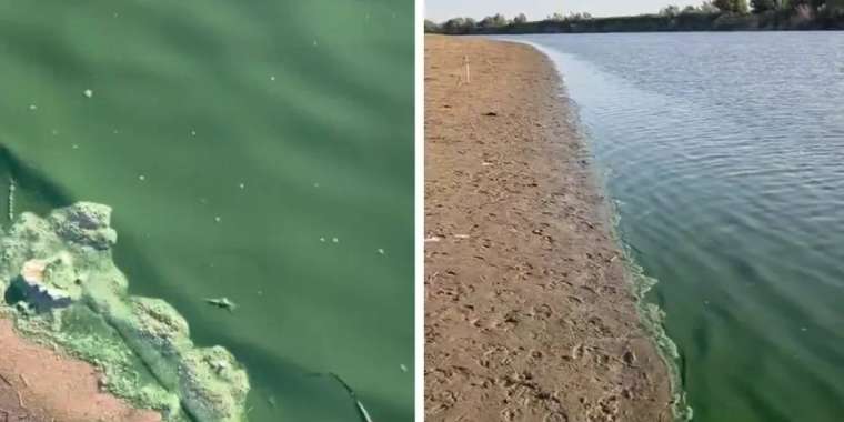 Атырау облысындағы Жайық өзенінің суы жасыл болып кетті