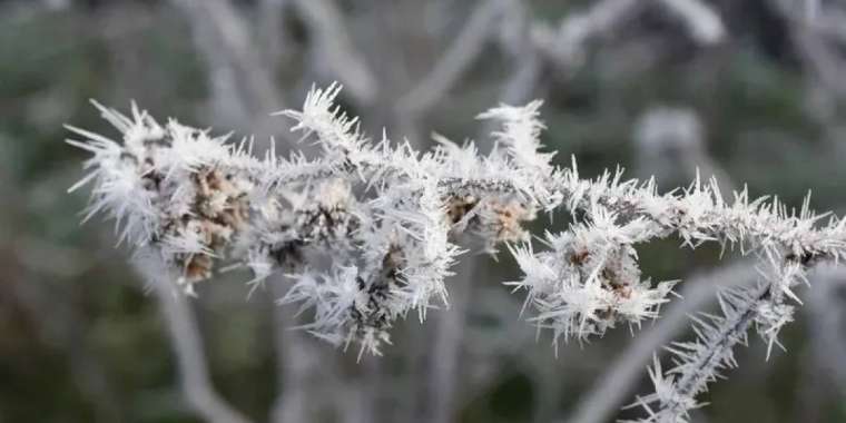 5 қыркүйекте бірқатар өңірде үсік жүреді