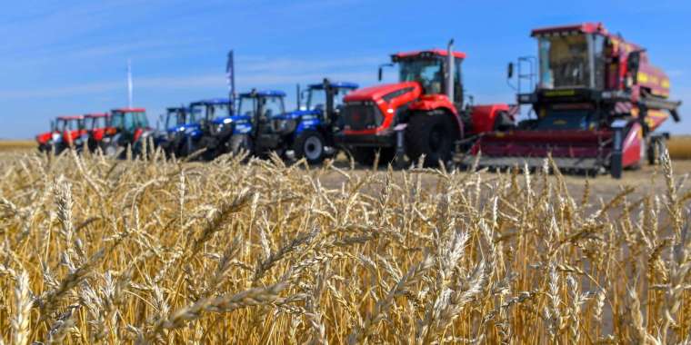 Бидай емес, дайын өнім сату керек - маман