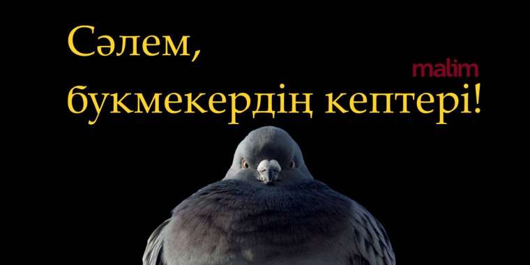 Неге ставка істеуге болмайды? Себебі сен - кептерсің.