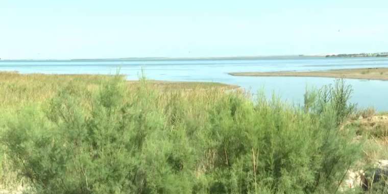 Экологиялық бомба. Депутат Қасқарауов үкіметтен Сорбұлаққа назар аударуды талап етті