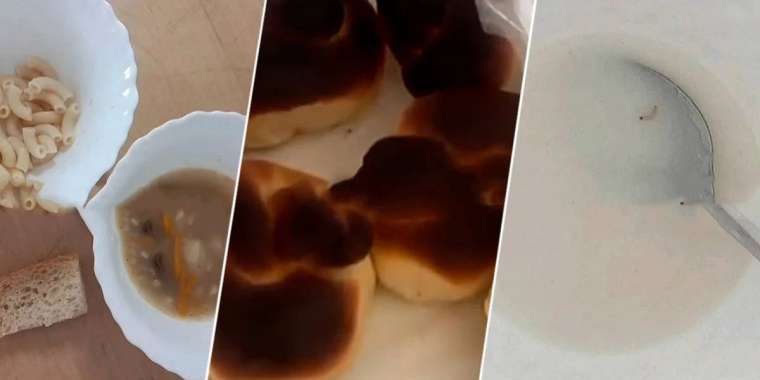 Талдықорғандағы жекеменшік балабақшада жәндік қаптап кеткен