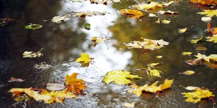 12 қыркүйекке арналған ауа райы болжамы жарияланды