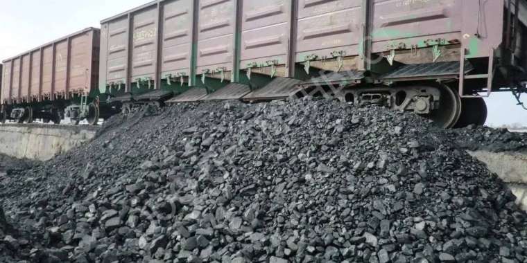 Салық төлеуден жалтарған ірі көмір өндіруші кәсіпорын анықталды