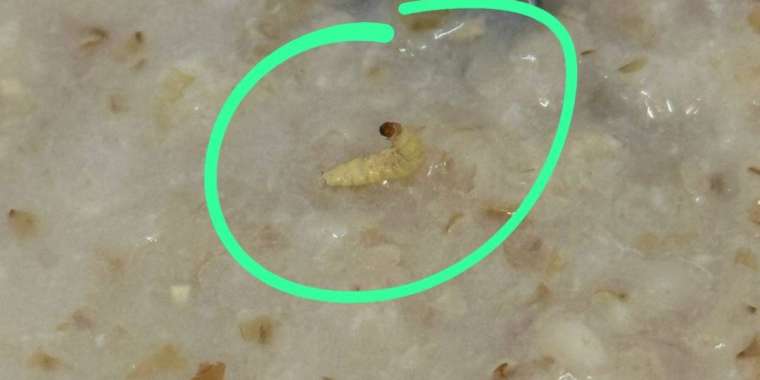 Елордадағы инфекциялық ауруханадағы тамақтан құрт шықты