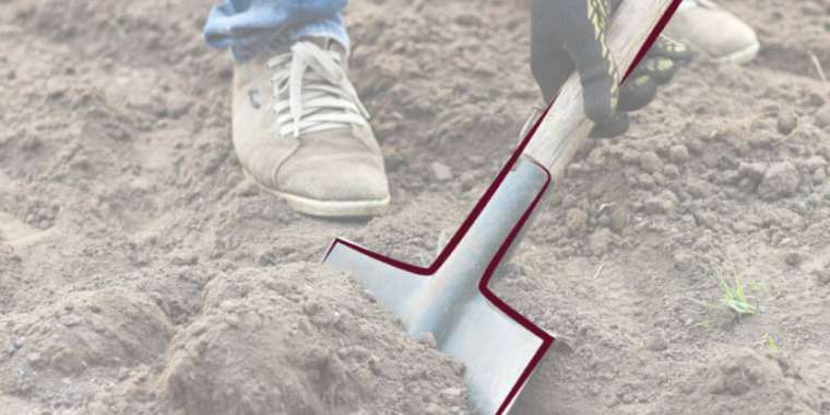 Қабір қазудан жарыста мажарлар тағы қара үзді