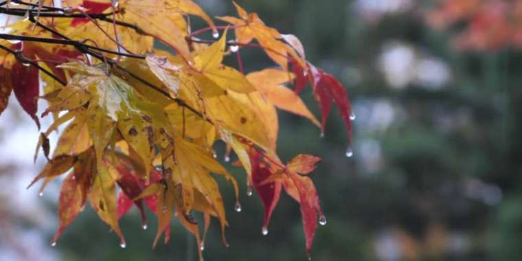 Демалыс күндеріне арналған ауа райы болжамы