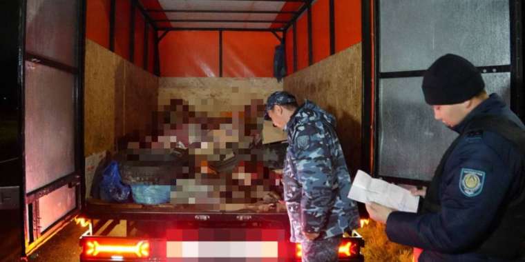 Қарағанды облысында 20 мобильді бекет қойылды