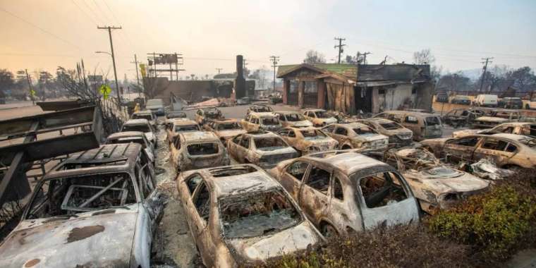 «Шал, одан да дәріңді іш». Саясаткер президентке жауап жазды