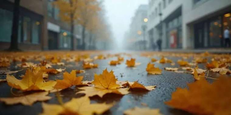 22 қыркүйекке арналған ауа райы болжамы жарияланды