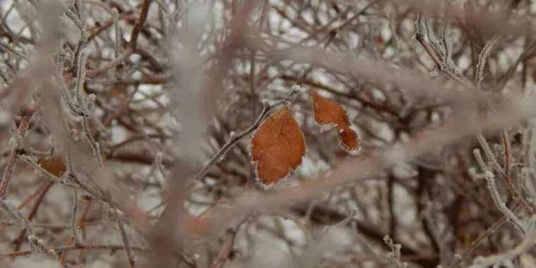 23 қыркүйекте бірқатар өңірде дауыл болады