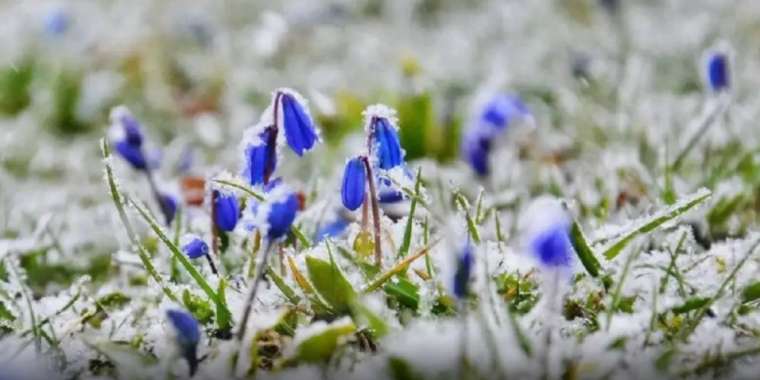 Бүгін қар жауып, үсік жүреді