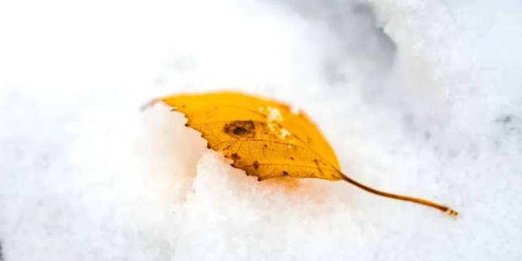 2 қазанда күн суық болып, үсік жүреді