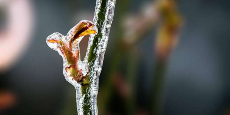 4 қазанда елдің 5 облысында үсік болады