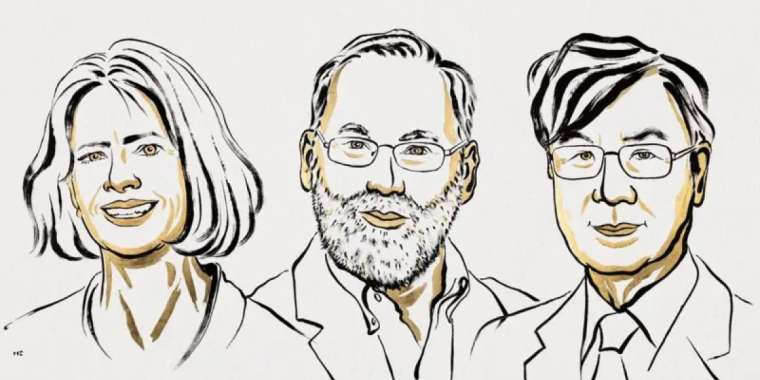 Нобель сыйлығы-2025. Физиология мен медицина.