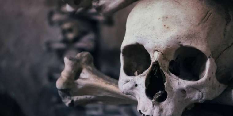 Шымкентте дүкен маңынан адам сүйегі шықты