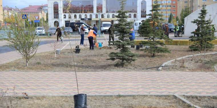 «Таза Қазақстан» акциясы аясында Ақтөбе өңірінде 7300-ге жуық көшет егілді