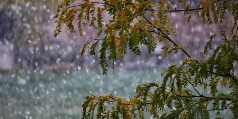 16 қазанда бірқатар өңірде үсік жүреді