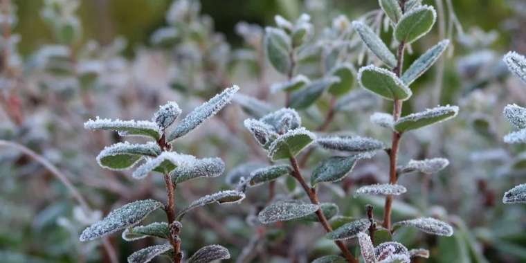17 қазанға арналған ауа райы болжамы