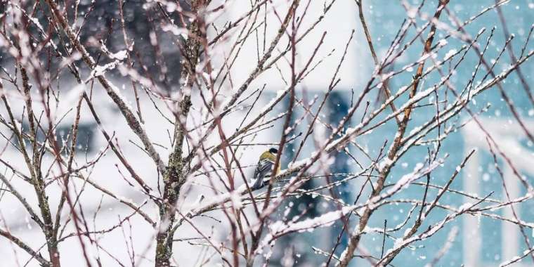 19 қазанға арналған ауа райы болжамы жарияланды