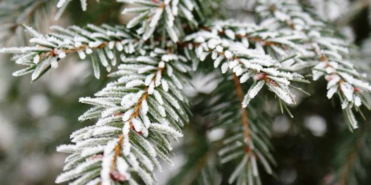 Синоптиктер бүгін ауа райы қолайсыз болатынын ескертті