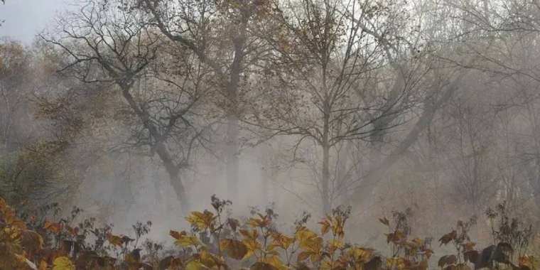 23 қазанға арналған ауа райы болжамы жарияланды