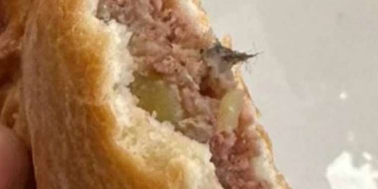 Бәліш ішіндегі тышқанның жүні. Мектеп асханасы жабылды