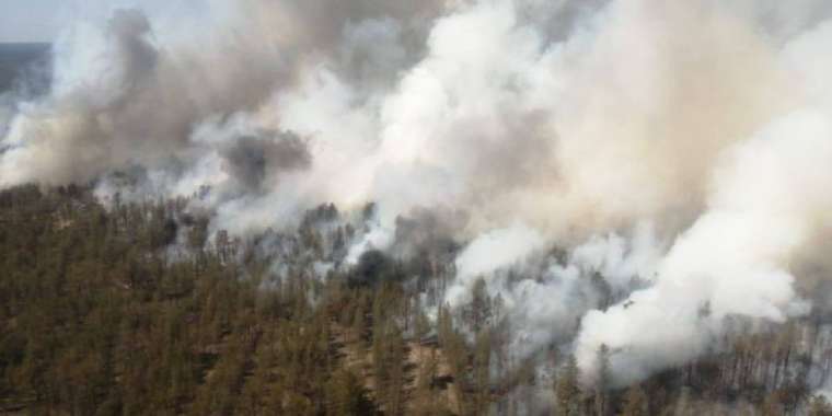 Орман өрті едәуір азайды