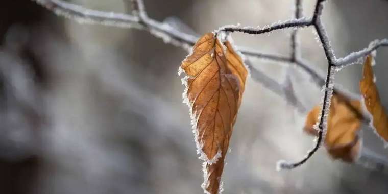 Күздің соңғы күні жаңбыр жауып, үсік жүреді