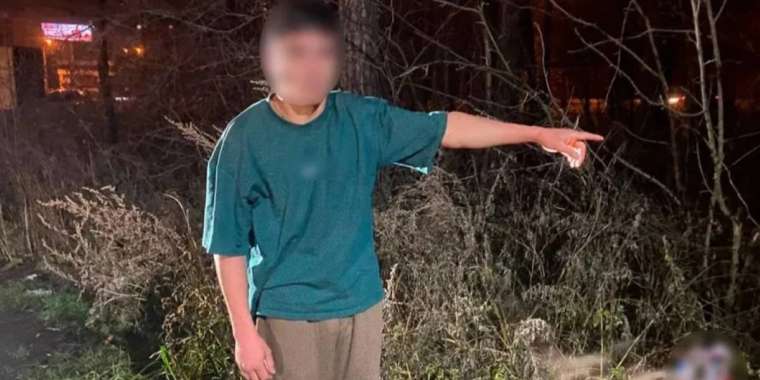 17 жастағы қасапшы жігіт өз анасының басын кесіп, жерге көміп тастады